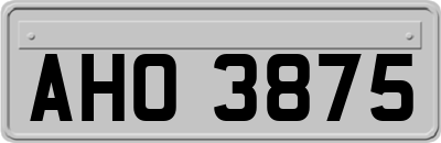 AHO3875