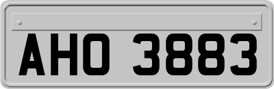 AHO3883