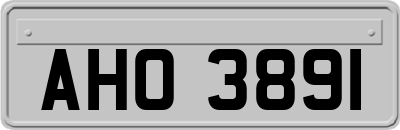 AHO3891