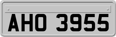 AHO3955
