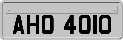 AHO4010