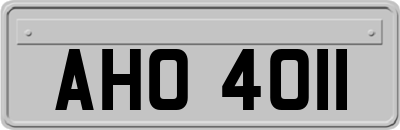 AHO4011