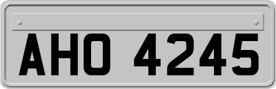 AHO4245