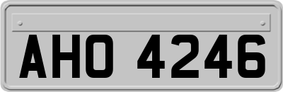 AHO4246