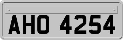 AHO4254