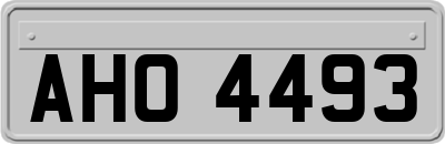 AHO4493