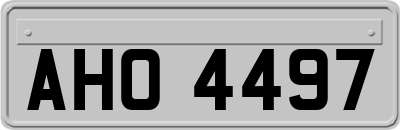 AHO4497