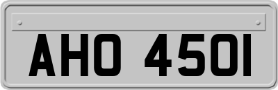 AHO4501