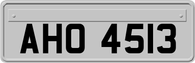 AHO4513