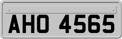 AHO4565
