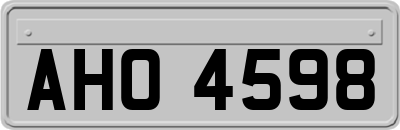 AHO4598