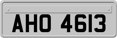 AHO4613
