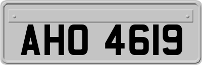 AHO4619