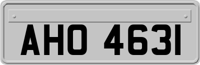 AHO4631
