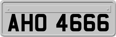 AHO4666