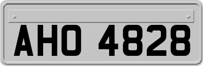 AHO4828