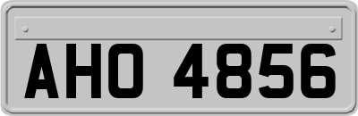 AHO4856