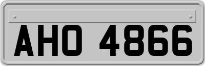 AHO4866