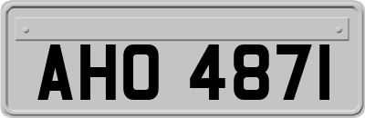 AHO4871