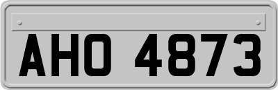 AHO4873