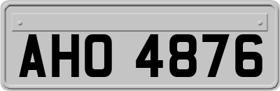 AHO4876