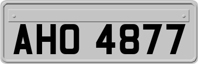 AHO4877