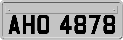 AHO4878