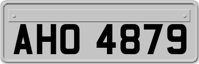 AHO4879