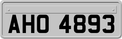 AHO4893