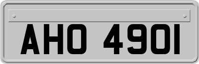 AHO4901