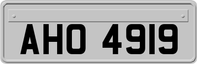 AHO4919