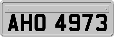 AHO4973