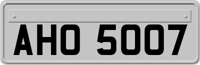 AHO5007