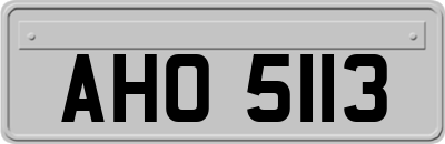 AHO5113