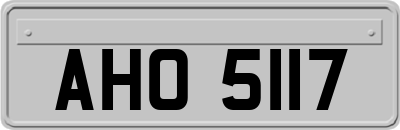 AHO5117
