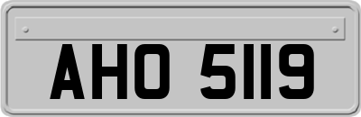 AHO5119