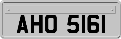 AHO5161