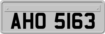 AHO5163