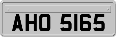 AHO5165