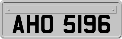 AHO5196
