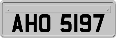 AHO5197