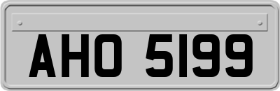 AHO5199
