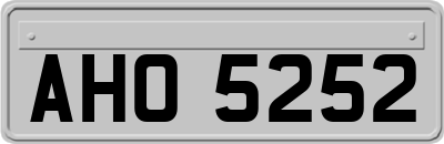 AHO5252