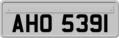 AHO5391