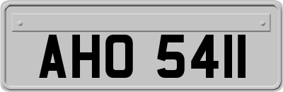 AHO5411