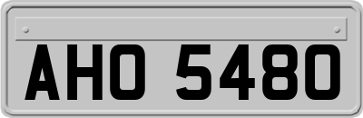 AHO5480
