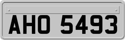 AHO5493