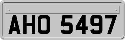 AHO5497