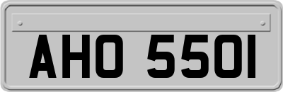 AHO5501