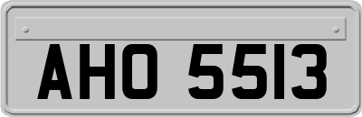 AHO5513